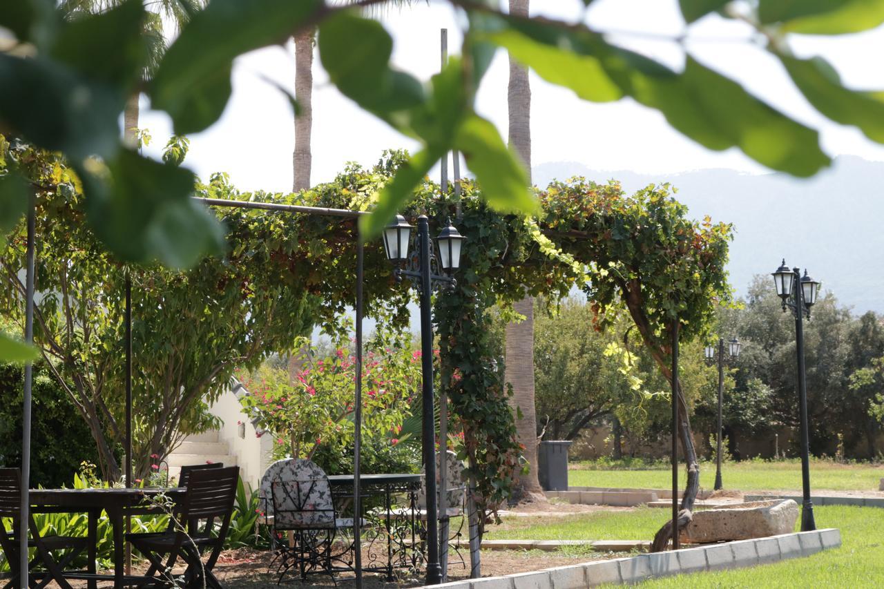 Meryem's Hotel Agios Epiktitos Dış mekan fotoğraf
